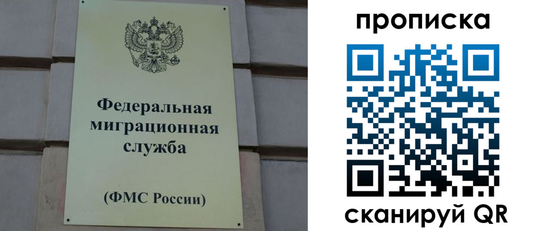 прописка поиск в Тольятти